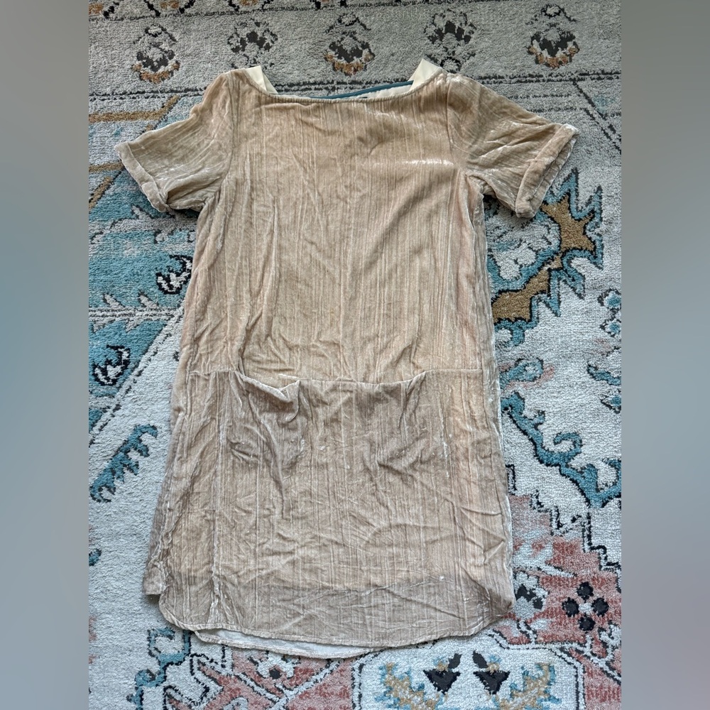 Anthropologie Velvet Floreat Dress XS Blush Pink